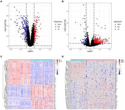 Identification of potential shared gene signatures between gastric cancer and type 2 diabetes: a data-driven analysis